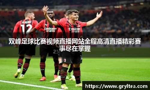 VSport胜利因您更精彩